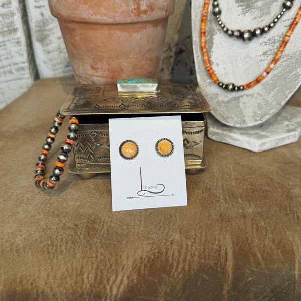 The Gallup Spiny Studs