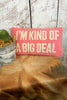 I'm Kind Of A Big Deal~ Wool Hooked Pillow