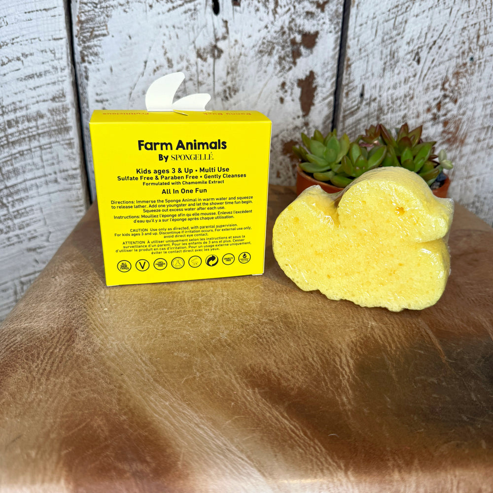 DANNY DUCK SPONGELLE SOAP BUFFER