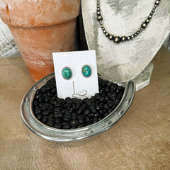 Kingman Turquoise Studs