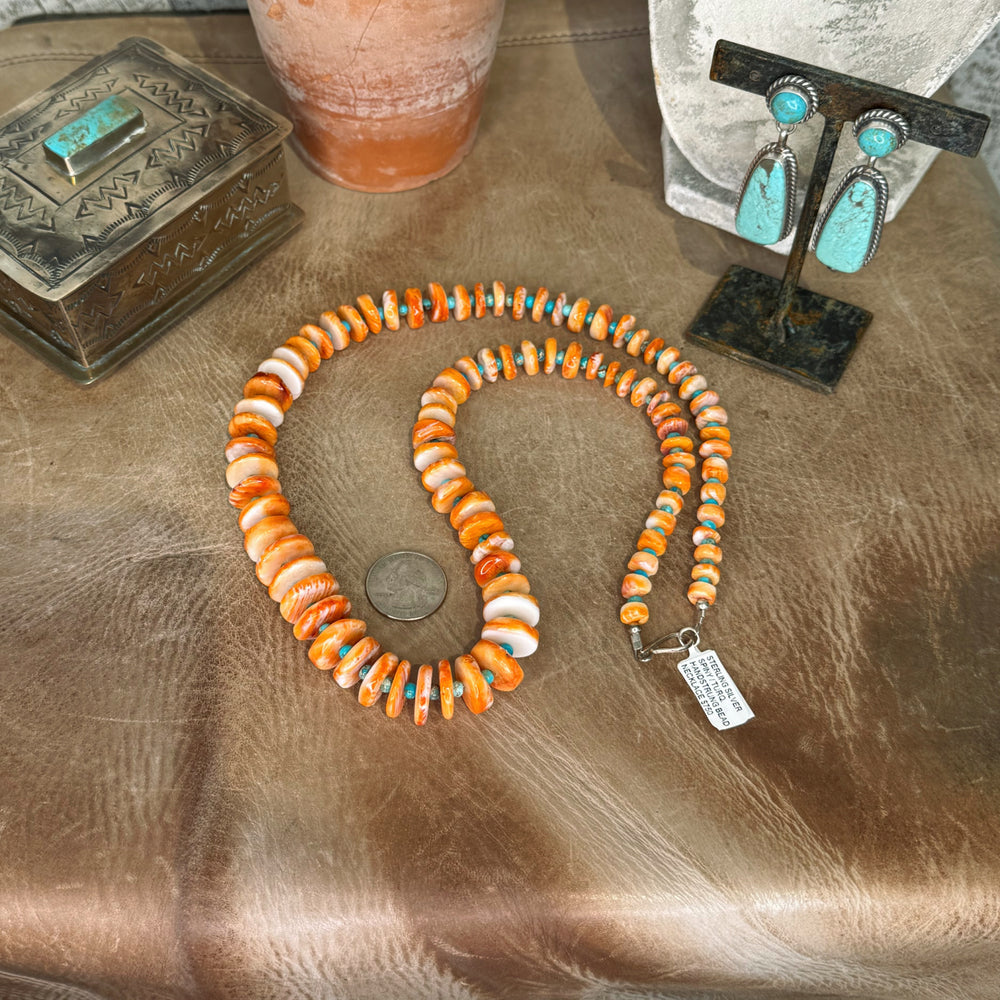 The Graduated Spiny & Turquoise Necklace